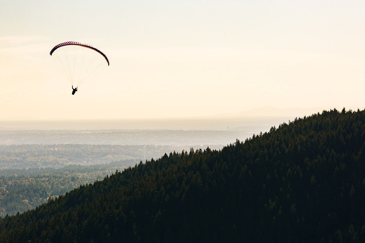 Homes for sale in Issaquah