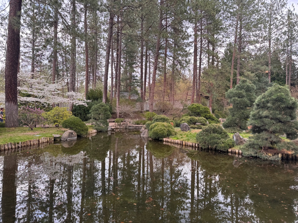 A serene, tranquil view of the large reflection pond within the Nishinomiya Tsutakawa Japanese Garden at Manito Park. Traditional landscape elements, mature maples, and rocks frame the water, set within Spokane’s South Hill neighborhood in the 99203 zip code.