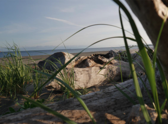 Ocean Shores