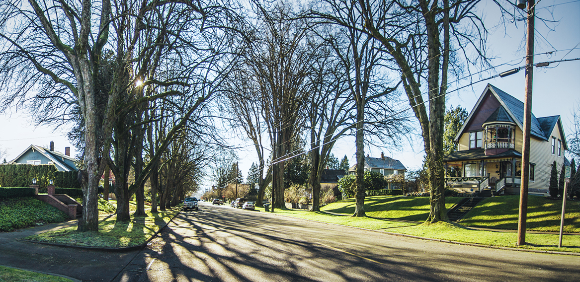 Homes for sale in Maple Valley