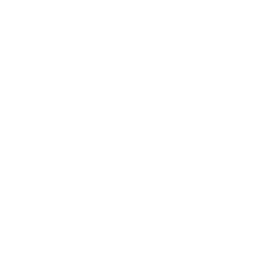 Meagan & Luis logo